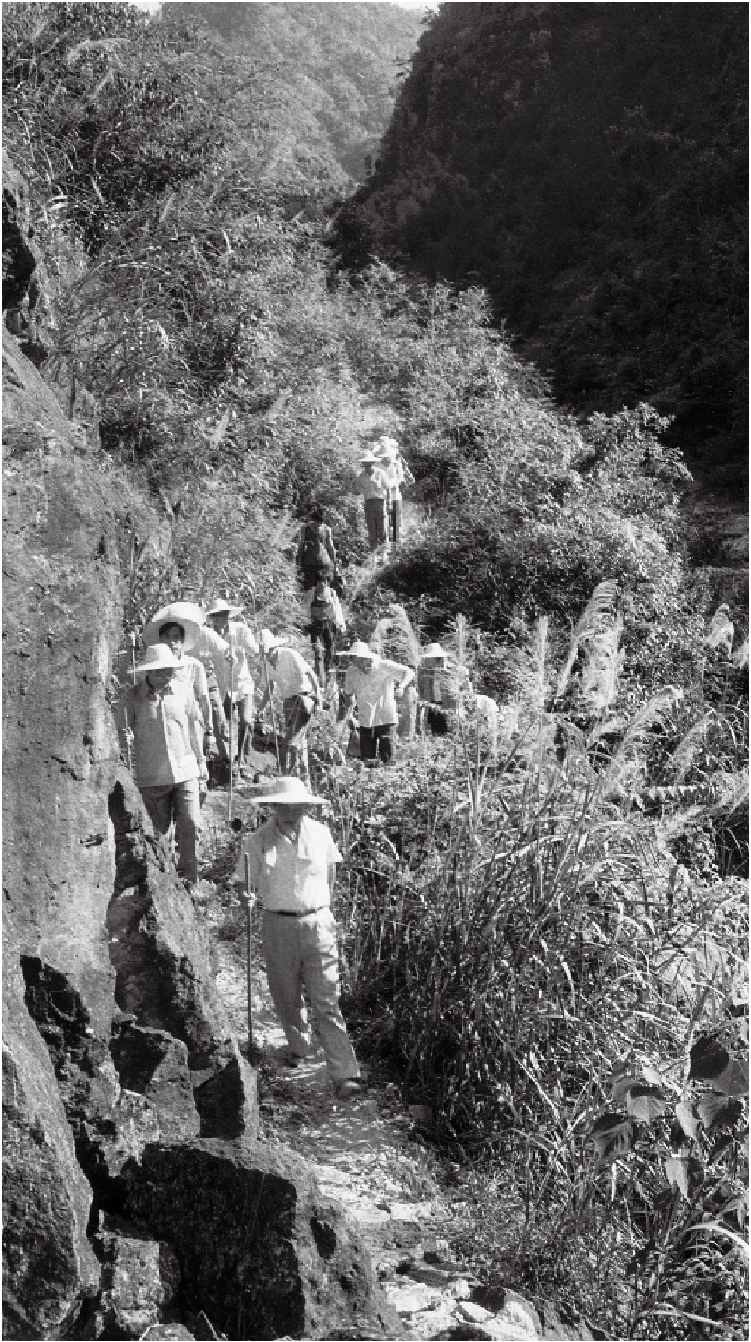 1989年7月，習(xí)近平一行到壽寧縣下黨鄉(xiāng)調(diào)研。