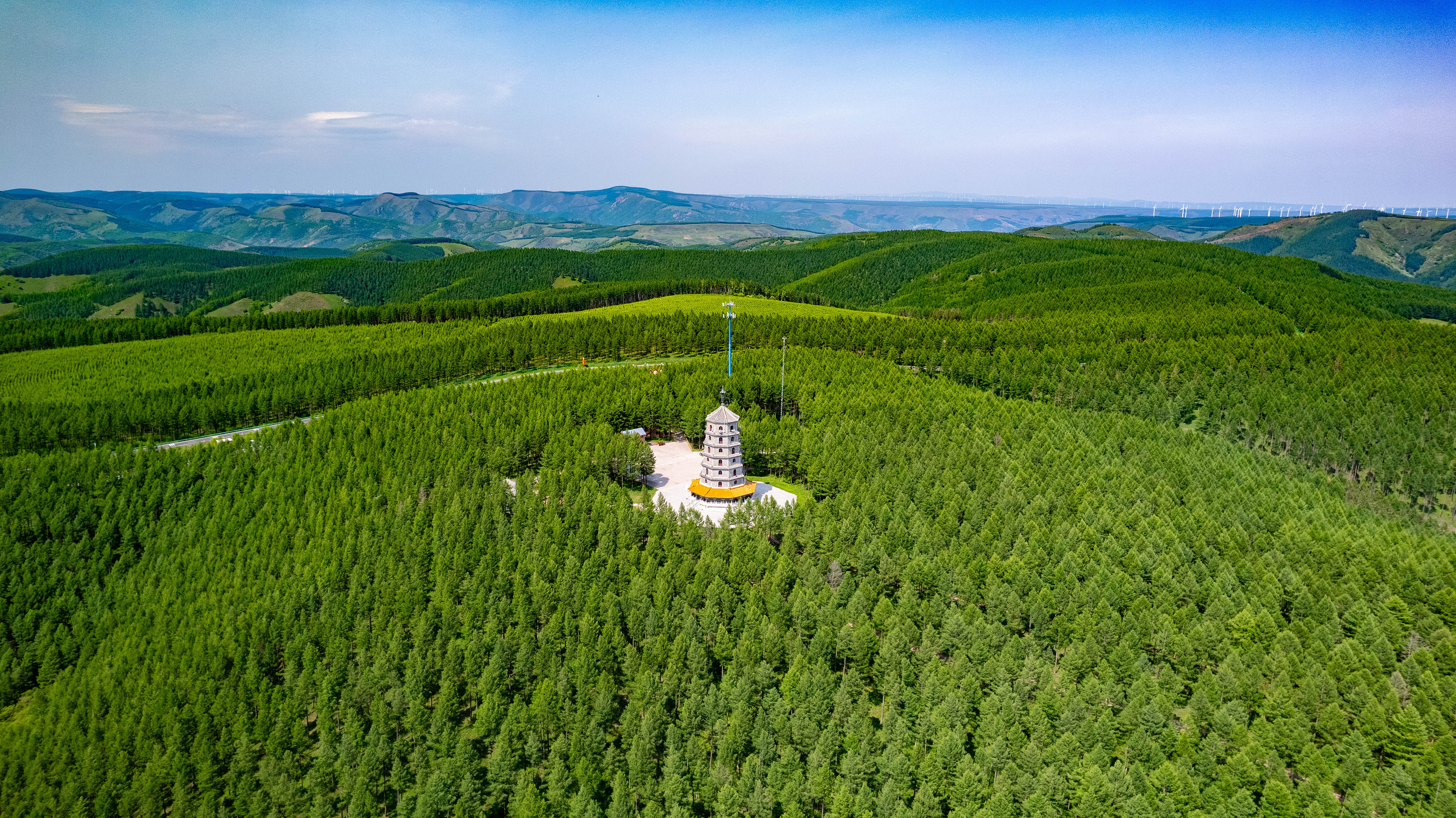 2025年6月11日，河北承德，塞罕壩林海浩渺。