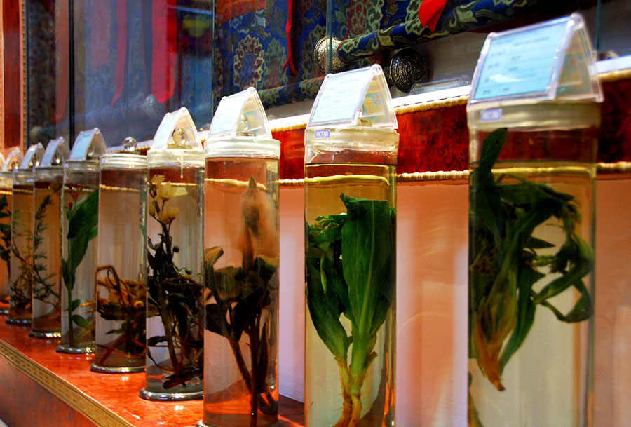 西藏山南藏醫(yī)醫(yī)院藏醫(yī)藥博物館的珍惜藏藥標(biāo)??.jpg