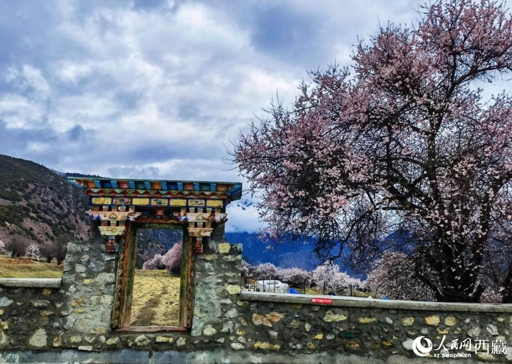 桃花下的藏式民居。人民網 李海霞攝