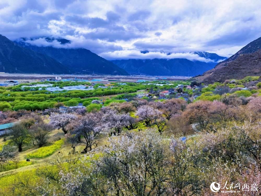 桃花從中的“童話小鎮(zhèn)”。人民網 李海霞攝