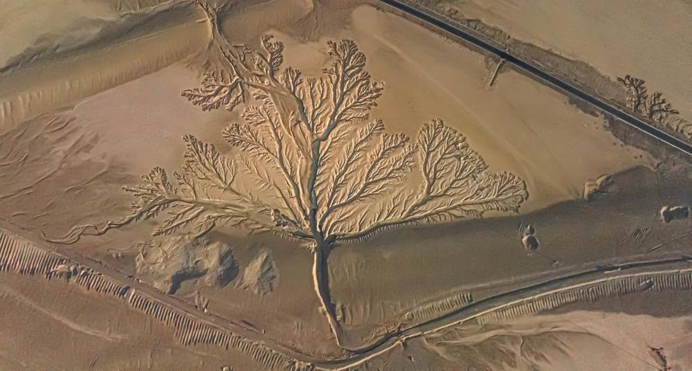 壯觀的“大地之樹”。邊巴多吉攝