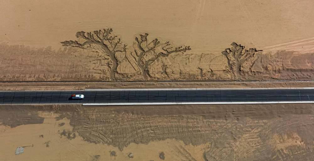 位于國道216沿線的“大地之樹”。邊巴多吉攝