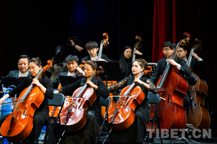 音樂(lè)會(huì)2.jpg 音樂(lè)會(huì)2.jpg