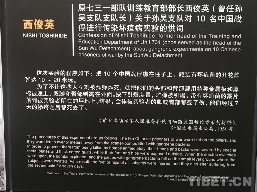 IMG_20240812_234226 IMG_20240812_234226