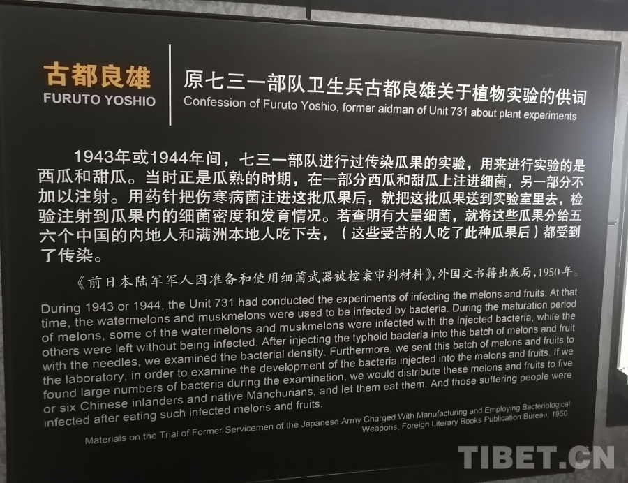 IMG_20240812_233959 IMG_20240812_233959