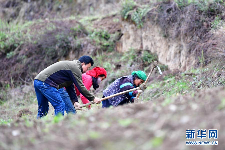 (脫貧攻堅·圖片故事)(11)扶貧相冊——藏族村寨的脫貧“貼心人”