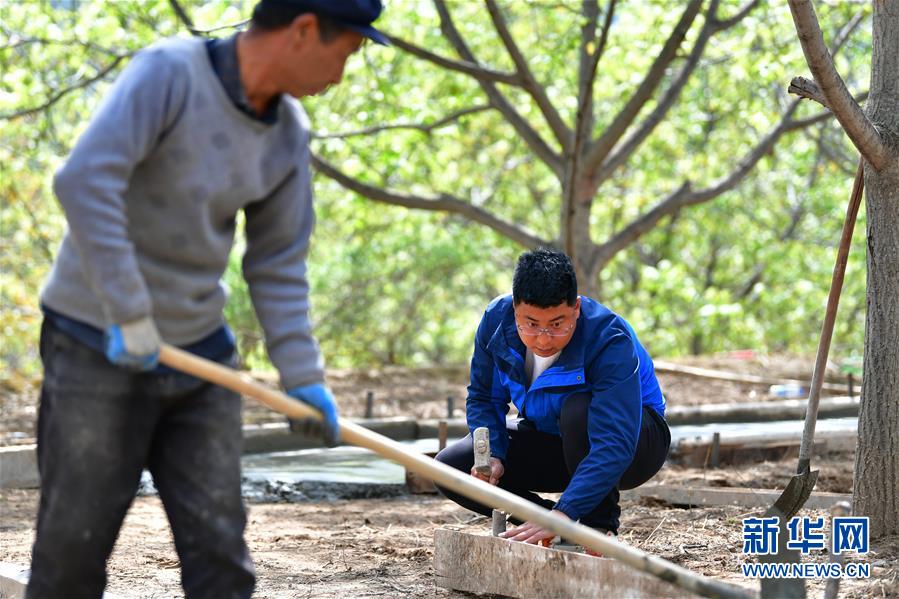 (脫貧攻堅(jiān)·圖片故事)(8)“90后新農(nóng)人”的返鄉(xiāng)致富路