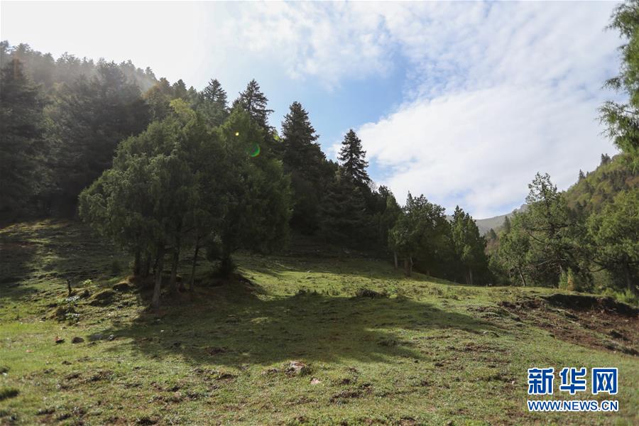 (美麗中國(guó))(2)祁連山下冰溝河 水草豐茂美如畫(huà)