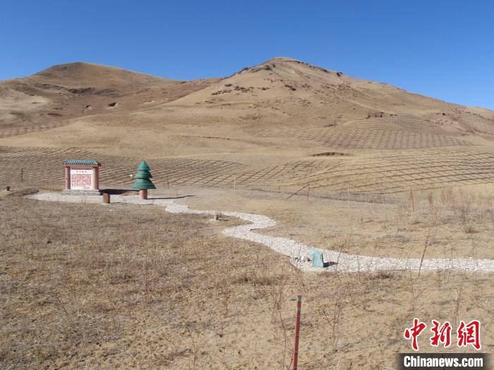 四川省阿壩州若爾蓋縣草原沙化治理前。若爾蓋縣林業(yè)和草原局供圖