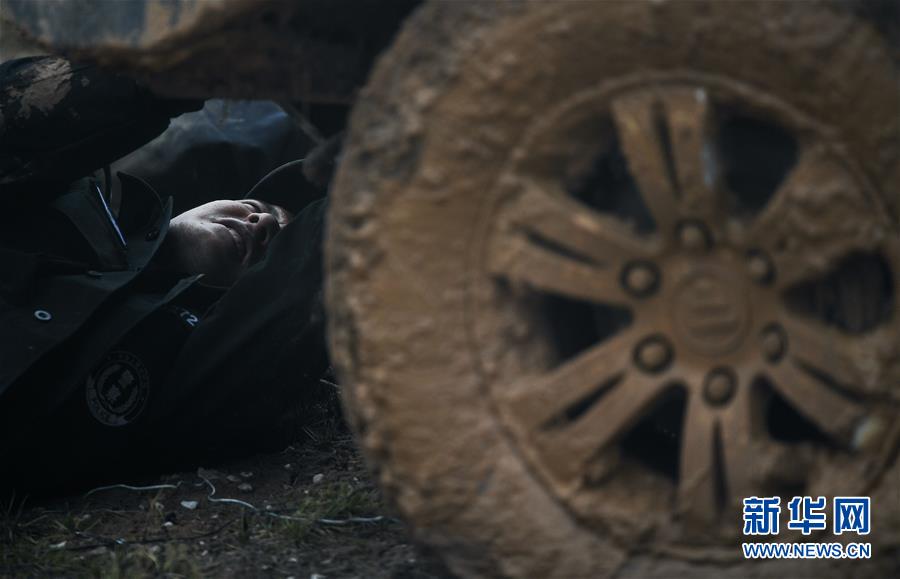 （圖文互動）（8）記者手記：可可西里，“挪”向“藏羚羊大產(chǎn)房”的14個半小時(shí)