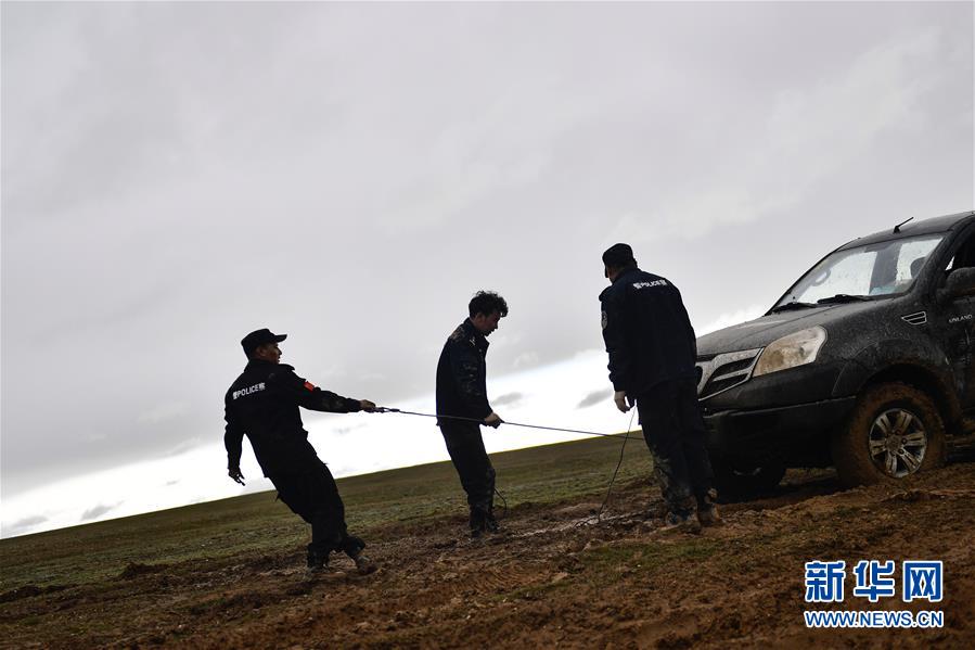 （圖文互動）（10）記者手記：可可西里，“挪”向“藏羚羊大產(chǎn)房”的14個半小時(shí)