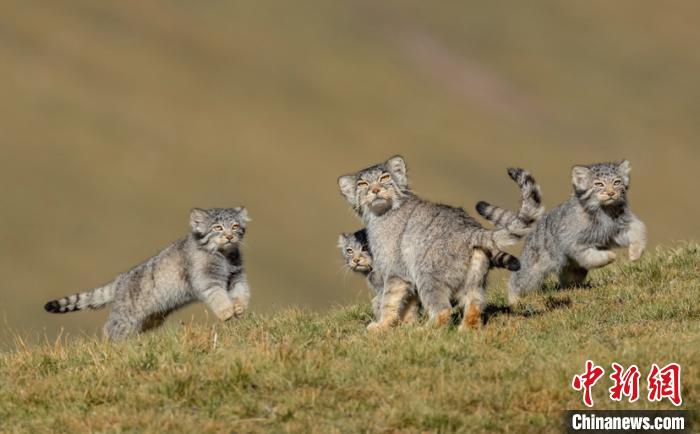 圖為李善元獲獎(jiǎng)作品《當(dāng)媽媽說(shuō)跑步前進(jìn)》?！±钌圃?攝