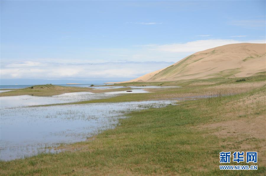 (新華全媒頭條·圖文互動)(12)大湖見證 ——持續(xù)保護(hù)讓青海湖生態(tài)華麗“蝶變”