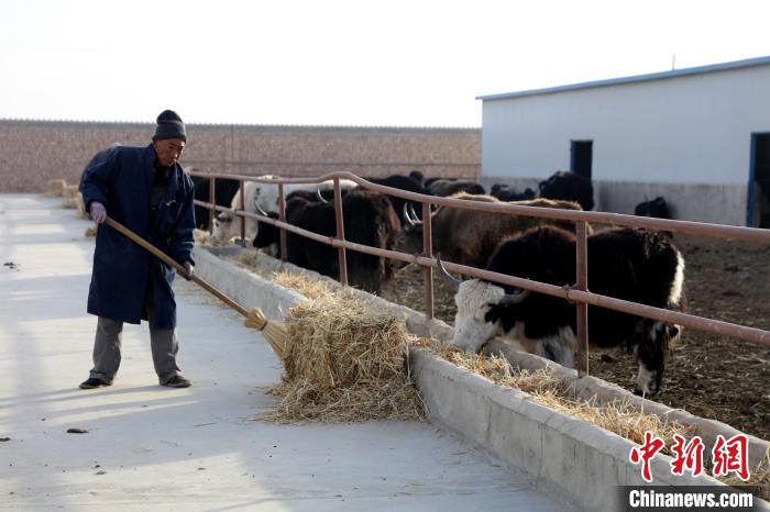 柴達木盆地蓮湖村：讓致富村民生活“?！逼饋?/></a></div>
                        <div   id=