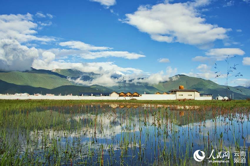 納帕海濕地風(fēng)景。呂昊辰攝
