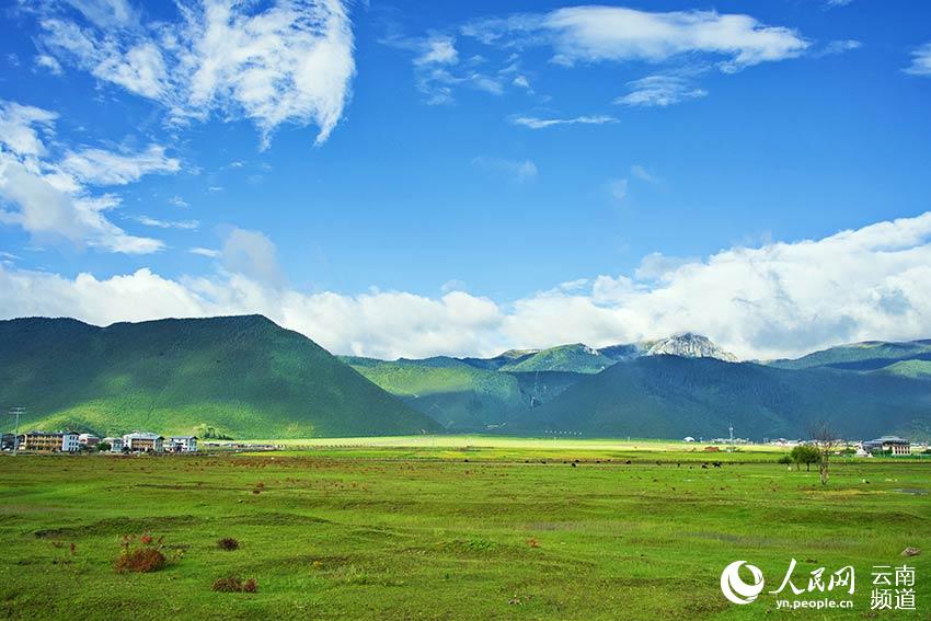 納帕海濕地風(fēng)景。呂昊辰攝