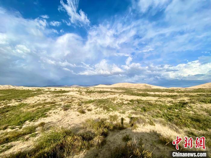 圖為關停四年后的沙島景區(qū)現(xiàn)狀?！±罱瓕?攝