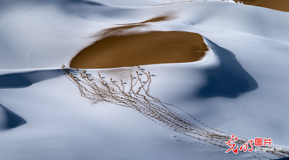 三江源國(guó)家公園正式設(shè)立，這是青海生態(tài)文明建設(shè)的新答卷