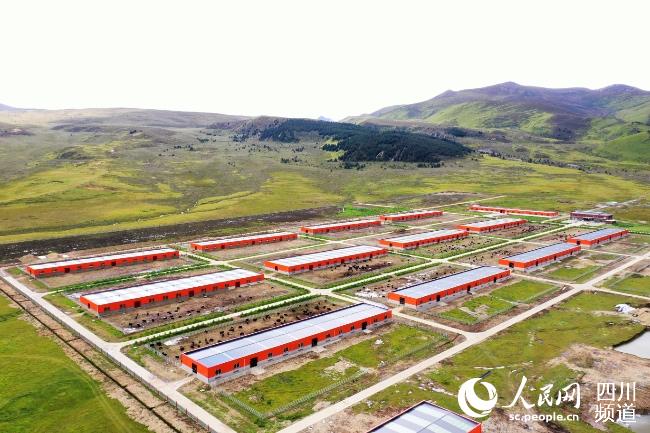 建設(shè)中的理塘縣牦牛產(chǎn)業(yè)園。葉強平攝