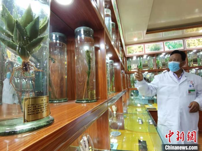 甘肅省甘南藏族自治州碌曲縣藏醫(yī)院副院長看照加近30年的從醫(yī)工作，堅(jiān)持中藏醫(yī)特色優(yōu)勢相結(jié)合診療方法?！堟?攝