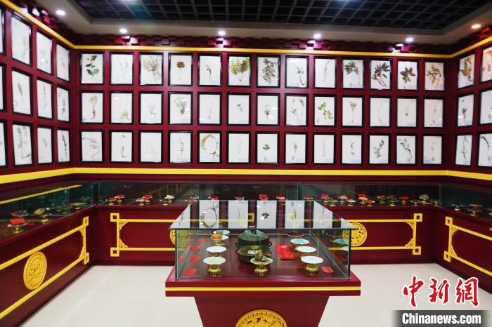 圖為藏藥臘葉標(biāo)本?！●R銘言 攝