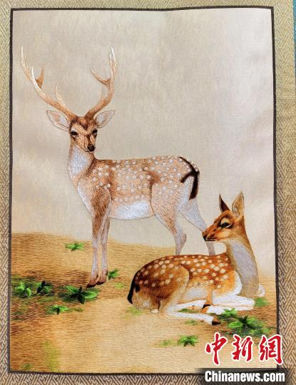 圖為藏繡作品?！∑钤鲚?攝