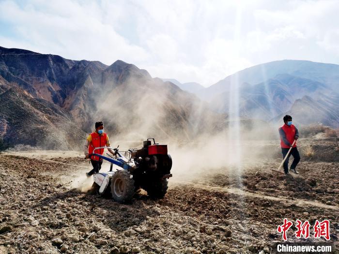 圖為拖拉機(jī)在山地犁地。　張?zhí)砀?攝