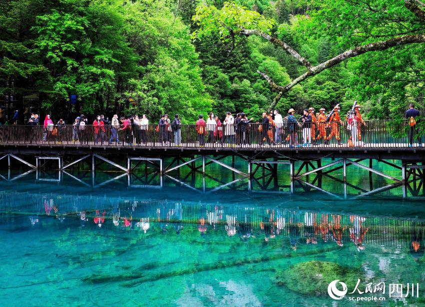 在景區(qū)內(nèi)開展森林防火宣傳和攜裝巡護(hù)。程雪力攝