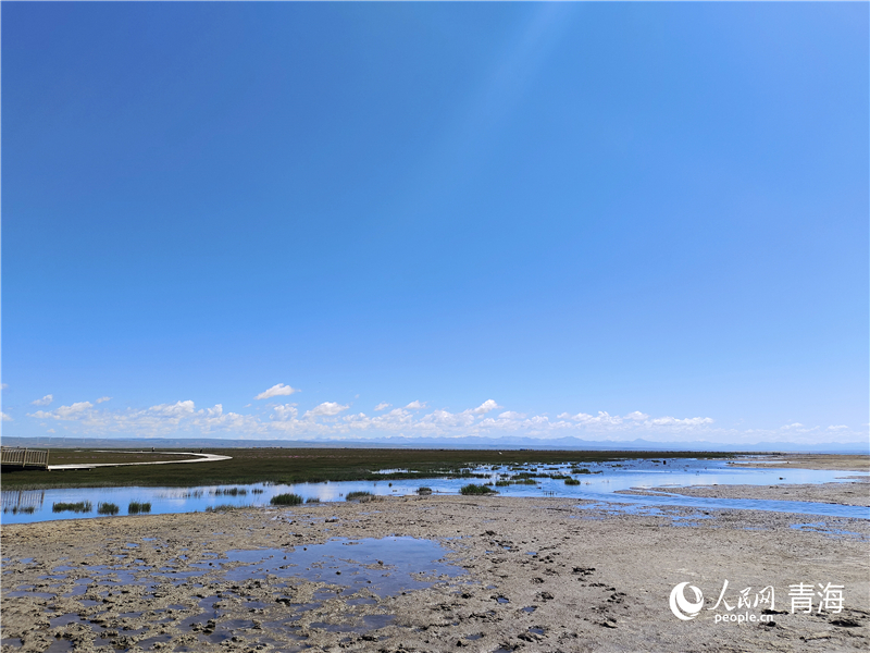   青海湖仙女灣。人民網(wǎng) 張莉萍攝
