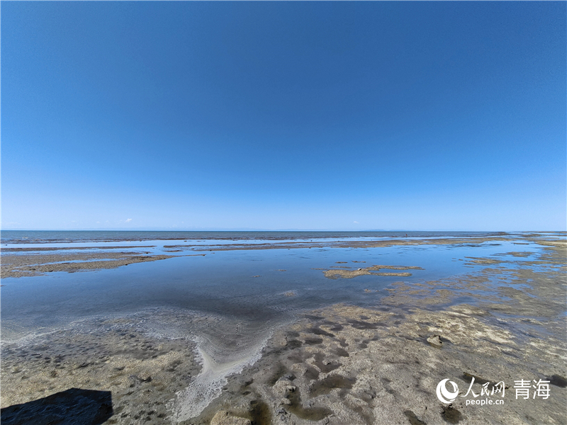   青海湖仙女灣。人民網(wǎng) 張莉萍攝