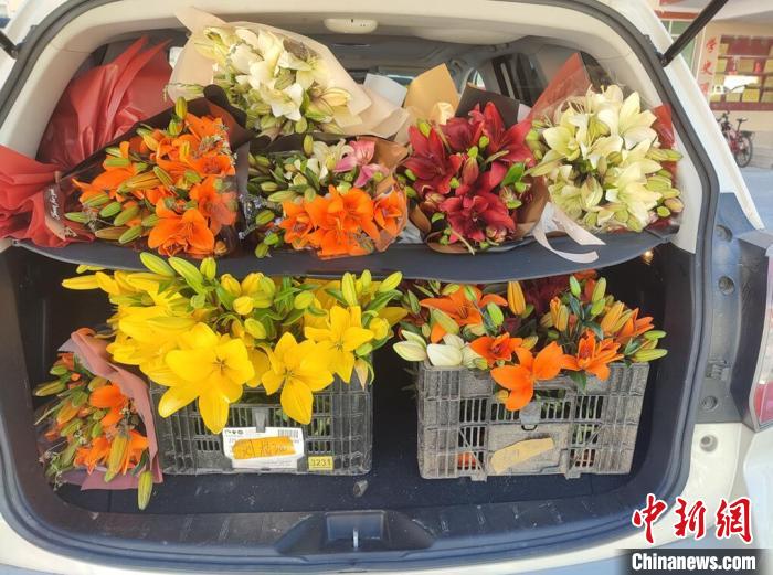 剛剛采摘下來的百合花?！∪捞量h委宣傳部供圖