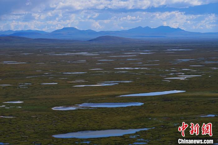 圖為查旦濕地?！●R銘言 攝