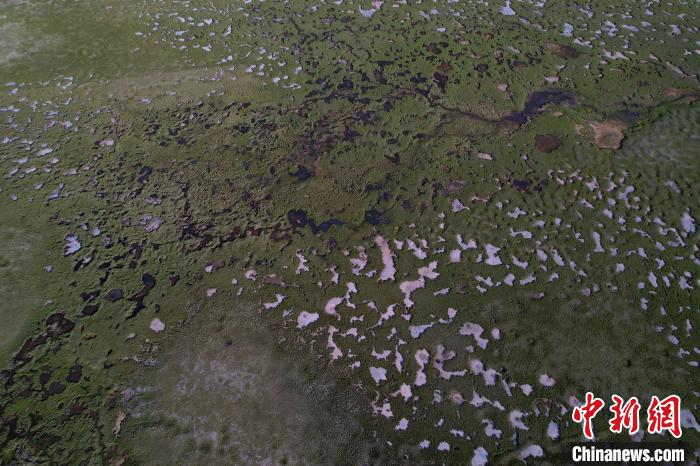 航拍查旦濕地?！●R銘言 攝