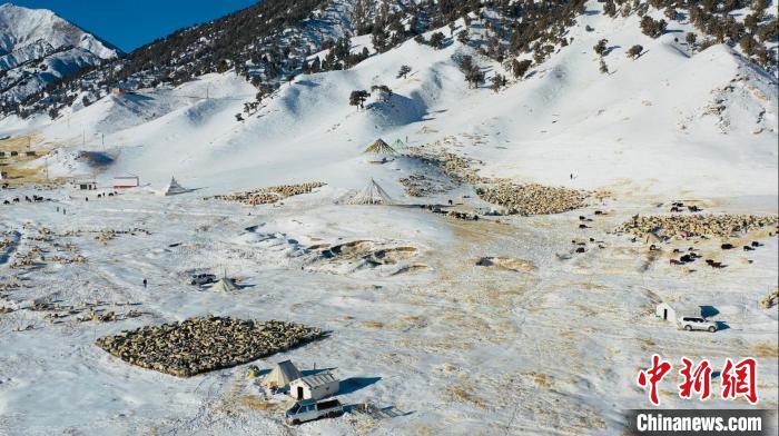 圖為無人機航拍牧場?！《继m縣融媒體中心供圖