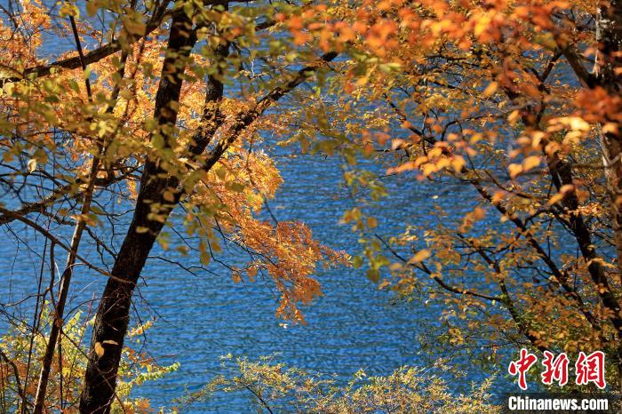 松坪溝風光?！⑼?攝