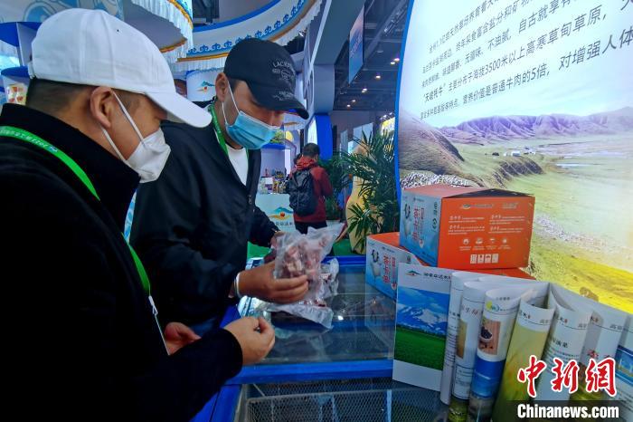 圖為青海參展商整理牛羊肉?！±铍h 攝