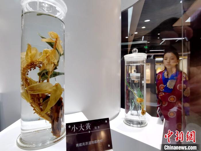 青海中藏醫(yī)藥發(fā)展提速：建設(shè)一批重點(diǎn)?？茖W(xué)科，推廣一批適宜技術(shù)