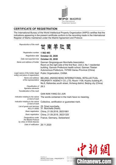 圖為“甘南羊肚菌”國(guó)際商標(biāo)注冊(cè)證書(shū)。(資料圖) 甘南州市場(chǎng)監(jiān)管局供圖