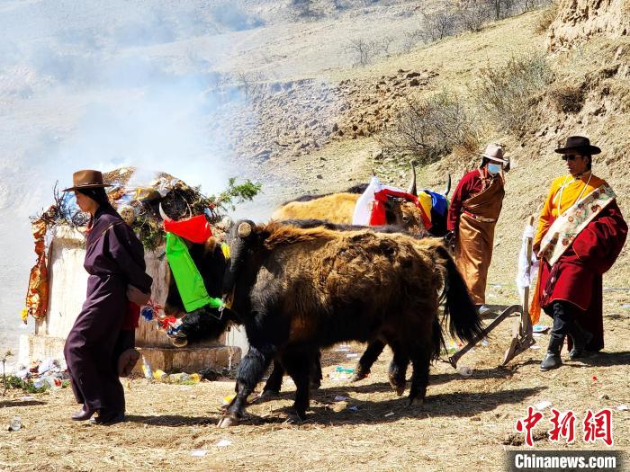 圖為春耕儀式現(xiàn)場?！⊥觖惿?供圖