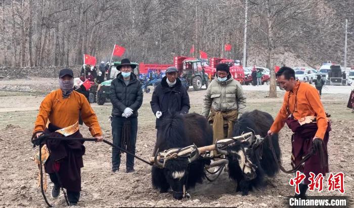 圖為活動現(xiàn)場當?shù)厝罕娬故緜鹘y(tǒng)春耕方式?！±罱瓕?攝