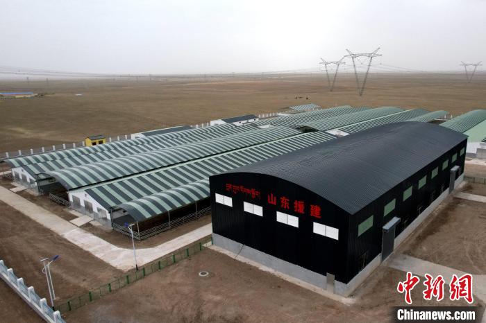 圖為航拍生態(tài)畜牧業(yè)集中規(guī)?；B(yǎng)殖基地?！〔讨绢?攝
