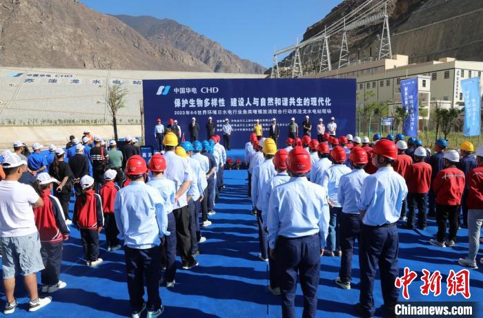 圖為蘇洼龍水電站魚(yú)類(lèi)放流現(xiàn)場(chǎng)。　蘇洼龍水電站供圖