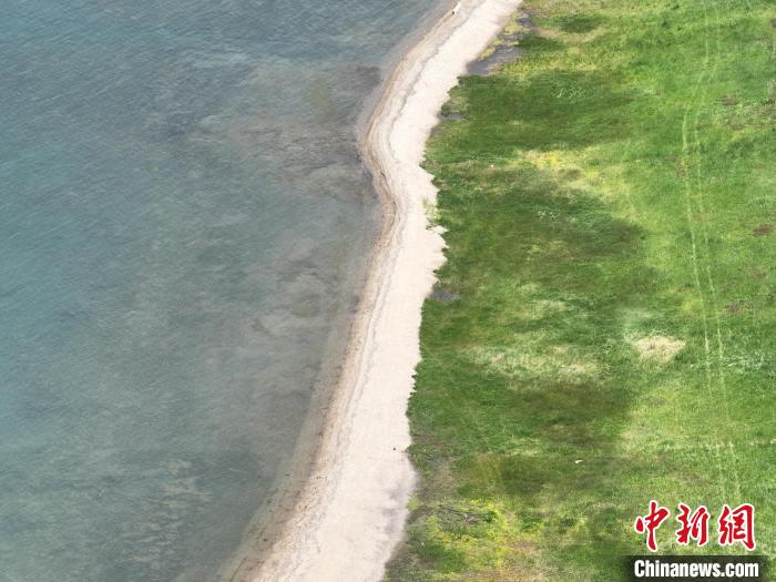 圖為航拍仲夏時(shí)節(jié)，青海湖畔綠茵如毯?！∑钤鲚?攝