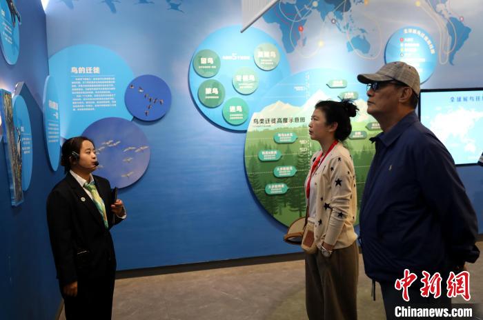 圖為臺商在祁連山國家公園生態(tài)科普館內聆聽講解?！⊙Φ?攝