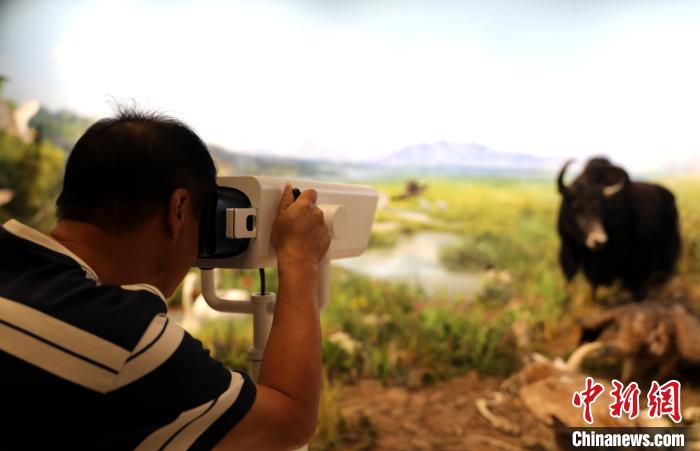 圖為臺商觀看祁連山國家公園生態(tài)科普館內生態(tài)場景。　薛蒂 攝