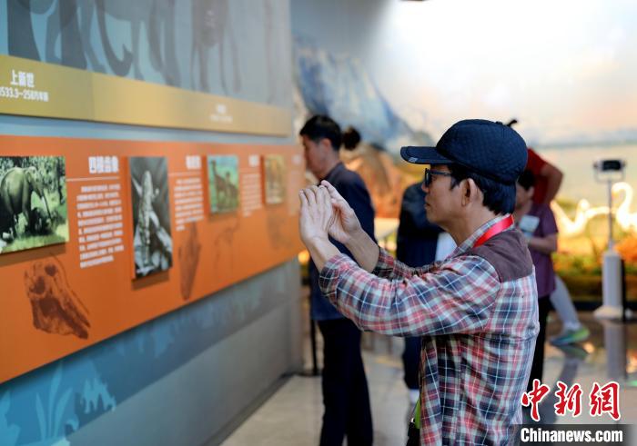 圖為臺商在祁連山國家公園生態(tài)科普館觀看墻面藝術圖文?！⊙Φ?攝