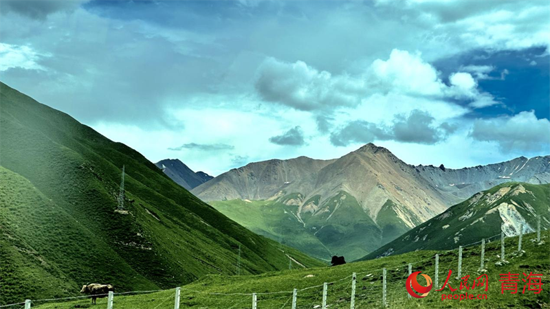 果洛風(fēng)光。人民網(wǎng) 劉沛然攝