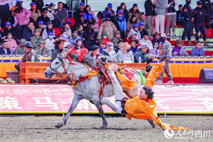 馬術(shù)表演現(xiàn)場(chǎng)。洛絨尼瑪攝