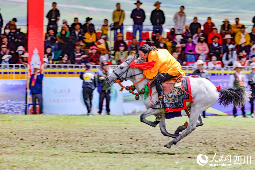 馬術(shù)表演現(xiàn)場(chǎng)。洛絨尼瑪攝